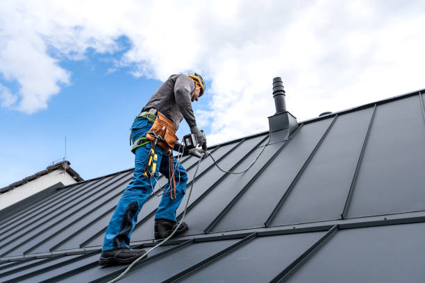 Best Metal Roofing Installation  in Montrose, PA